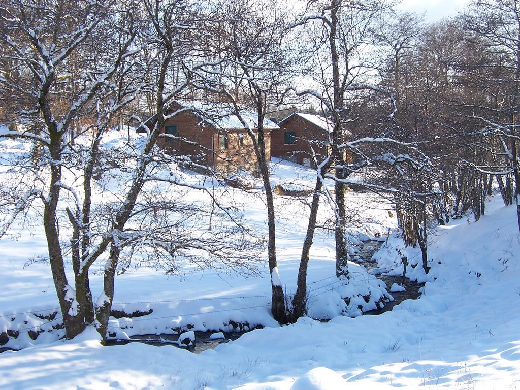 Holiday home Les Feuillantines