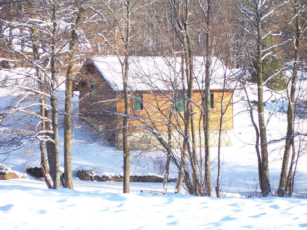 Les Feuillantines * Saint-Genes-Champespe